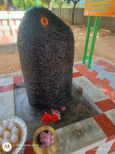 WhatsApp-Image-2025-06-09-at-4.28.10-PM-1