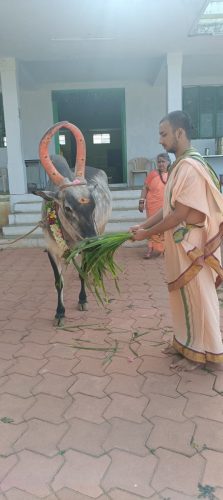 WhatsApp-Image-2025-07-09-at-4.36.10-PM