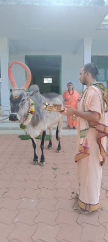 WhatsApp-Image-2025-07-09-at-4.36.11-PM