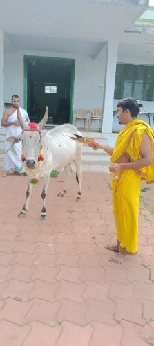 WhatsApp-Image-2025-07-11-at-5.59.16-PM-1