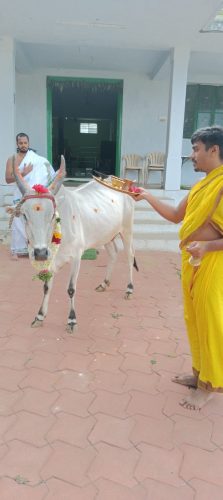 WhatsApp-Image-2025-07-11-at-5.59.17-PM (1)