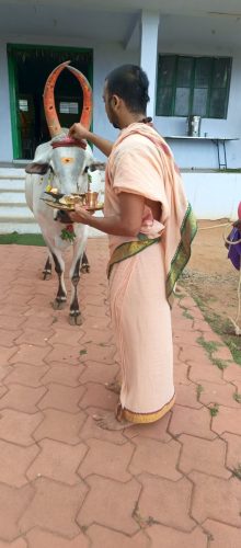 WhatsApp-Image-2025-07-13-at-5.01.53-PM