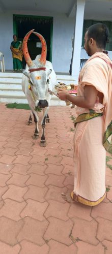 Gopuja on 13-07-2025