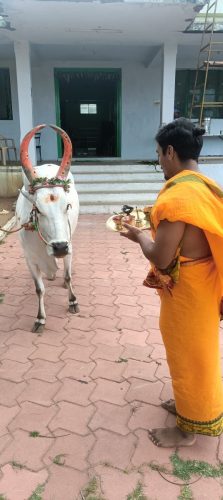 WhatsApp-Image-2025-07-14-at-5.17.11-PM