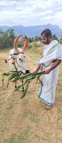 WhatsApp-Image-2025-07-17-at-5.18.39-PM-2