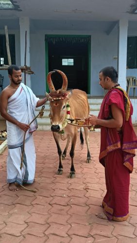 gopuja on 19-07-2025