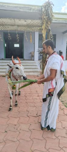 Gopuja on 29-07-2025-2