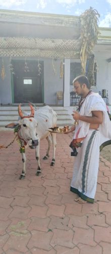 WhatsApp-Image-2025-07-29-at-7.31.11-PM