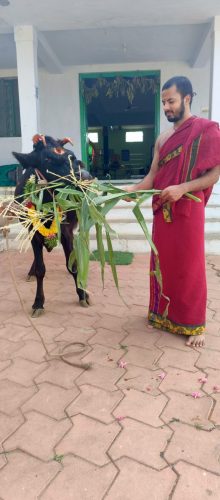 gopuja on 30-07-2025