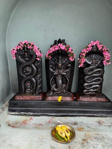 WhatsApp-Image-2025-07-31-at-4.47.26-PM-1