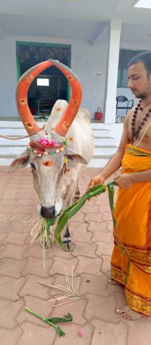 Gopuja on 01-07-2025