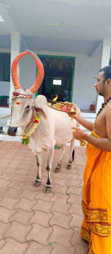 WhatsApp-Image-2025-08-01-at-4.49.26-PM