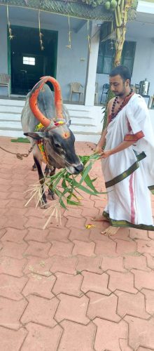 Gopuja on 05-08-2025