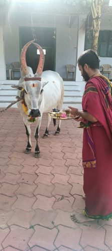 WhatsApp-Image-2025-08-06-at-4.36.24-PM-1