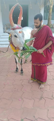 gopuja on 06-08-2025