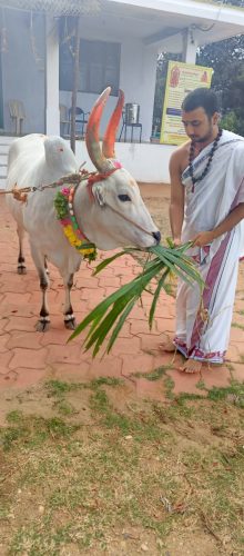 WhatsApp-Image-2025-08-07-at-7.06.57-PM-1