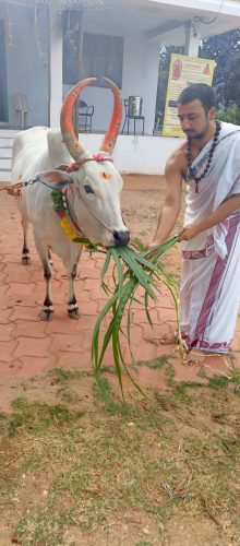 gopuja on 07-08-2025