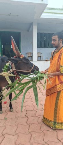 gopuja on 10-08-2025