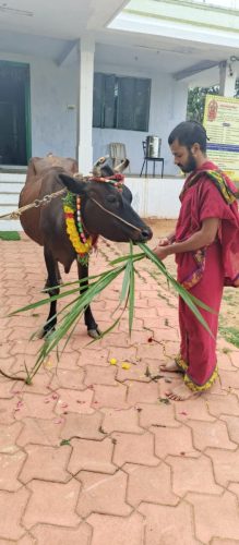 Gopuja on 14-08-2025