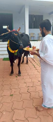 Annadhanam on 16-08-2025