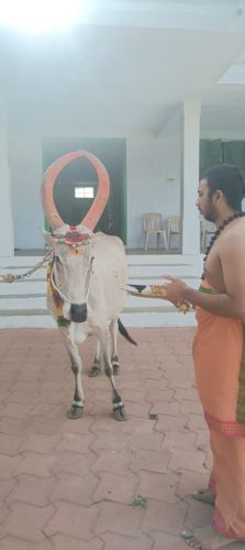 WhatsApp-Image-2025-08-19-at-7.53.45-PM-1