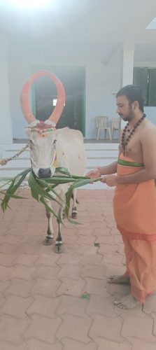 Gopuja on 19-08-2025