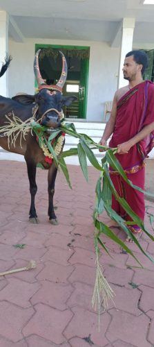 WhatsApp-Image-2025-08-20-at-4.53.20-PM (1)