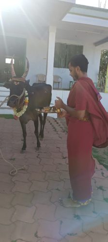 WhatsApp-Image-2025-08-20-at-4.53.21-PM