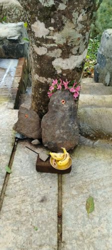 WhatsApp-Image-2025-08-21-at-2.53.53-PM-1