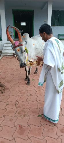 WhatsApp-Image-2025-08-22-at-4.53.43-PM-2 (1)