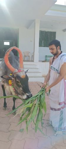 Gopuja on 24-08-2025