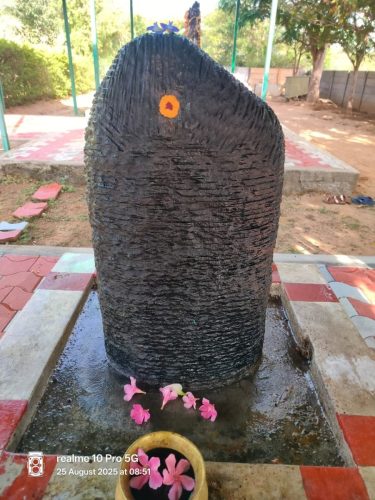 WhatsApp-Image-2025-08-25-at-12.00.23-PM-2