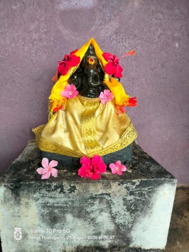 WhatsApp-Image-2025-08-25-at-12.00.24-PM