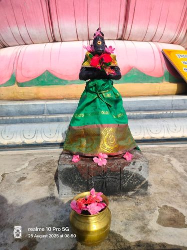 WhatsApp-Image-2025-08-25-at-12.00.25-PM-2