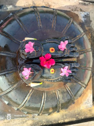 WhatsApp-Image-2025-08-25-at-12.00.25-PM