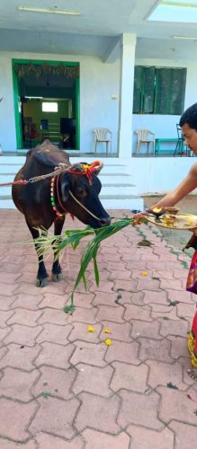 Gopuja on 26-08-2025