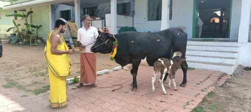 gopuja on 29-08-2025