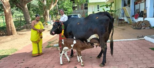 WhatsApp-Image-2025-08-29-at-4.15.21-PM-1