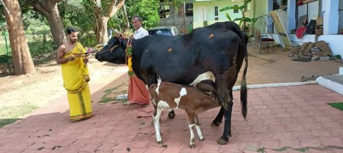 WhatsApp-Image-2025-08-29-at-4.15.21-PM