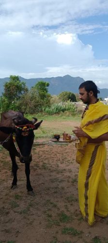 Gopuja on 30-08-2025