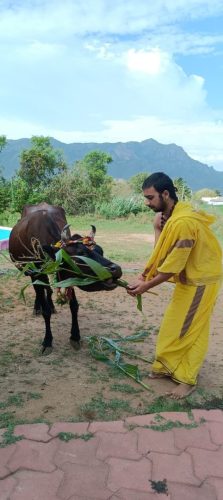 WhatsApp-Image-2025-08-30-at-5.35.08-PM