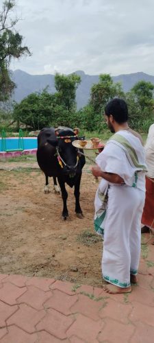 Gopuja on 31-08-2025