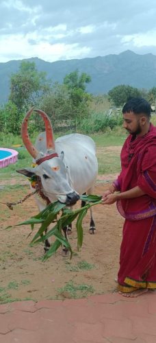 Gopuja on 01-09-2025