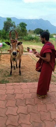 Gopuja on 02-09-2025