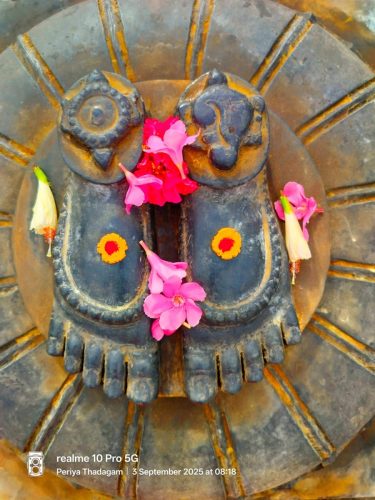 WhatsApp-Image-2025-09-03-at-1.29.44-PM