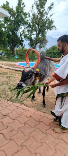 WhatsApp-Image-2025-09-03-at-5.12.48-PM