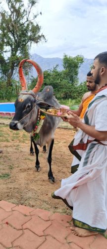 Gopuja on 03-09-2025