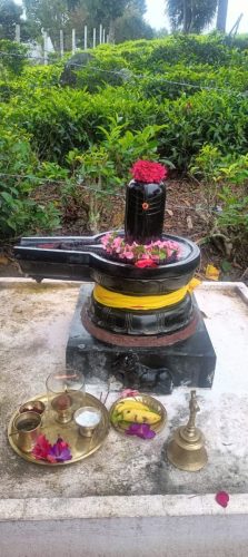 WhatsApp-Image-2025-09-04-at-2.56.22-PM