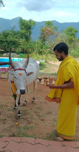 Gopuja on 08-09-2025