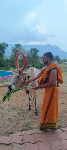 Gopuja on 09-09-2025